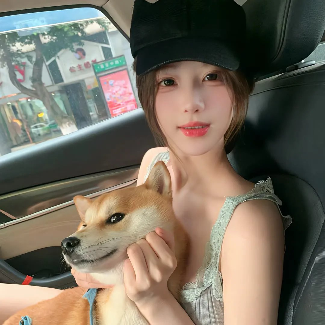 光荣之路上的狗